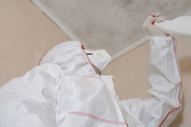 Best Commercial Mold Remediation in Loxahatchee Groves, FL